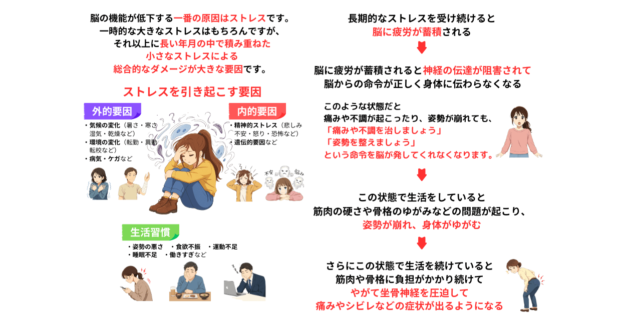 ストレスが脳の機能低下の原因　ストレスが身体に与える影響